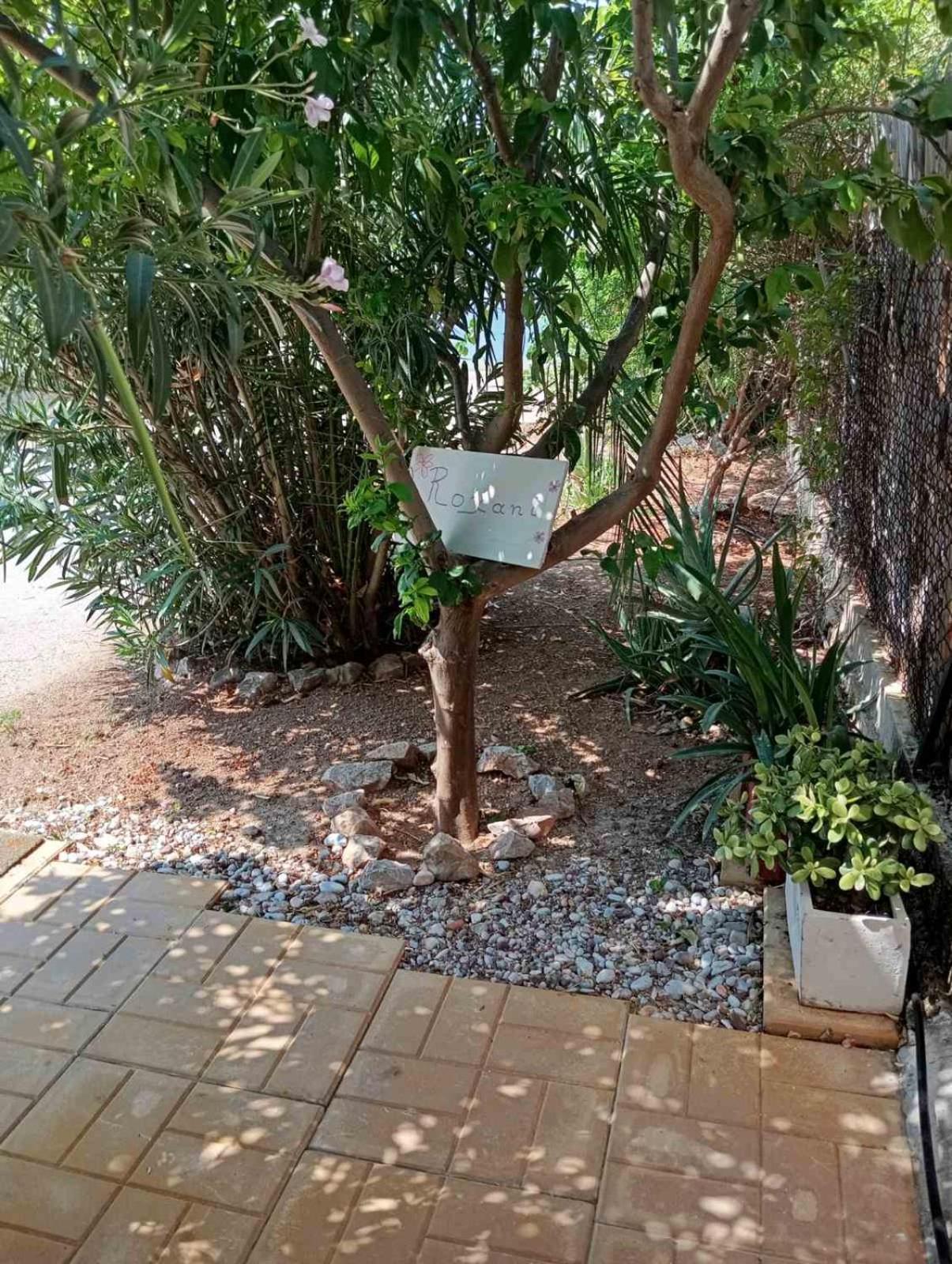 Ambelakia Εξοχικό Roxaniヴィラ エクステリア 写真