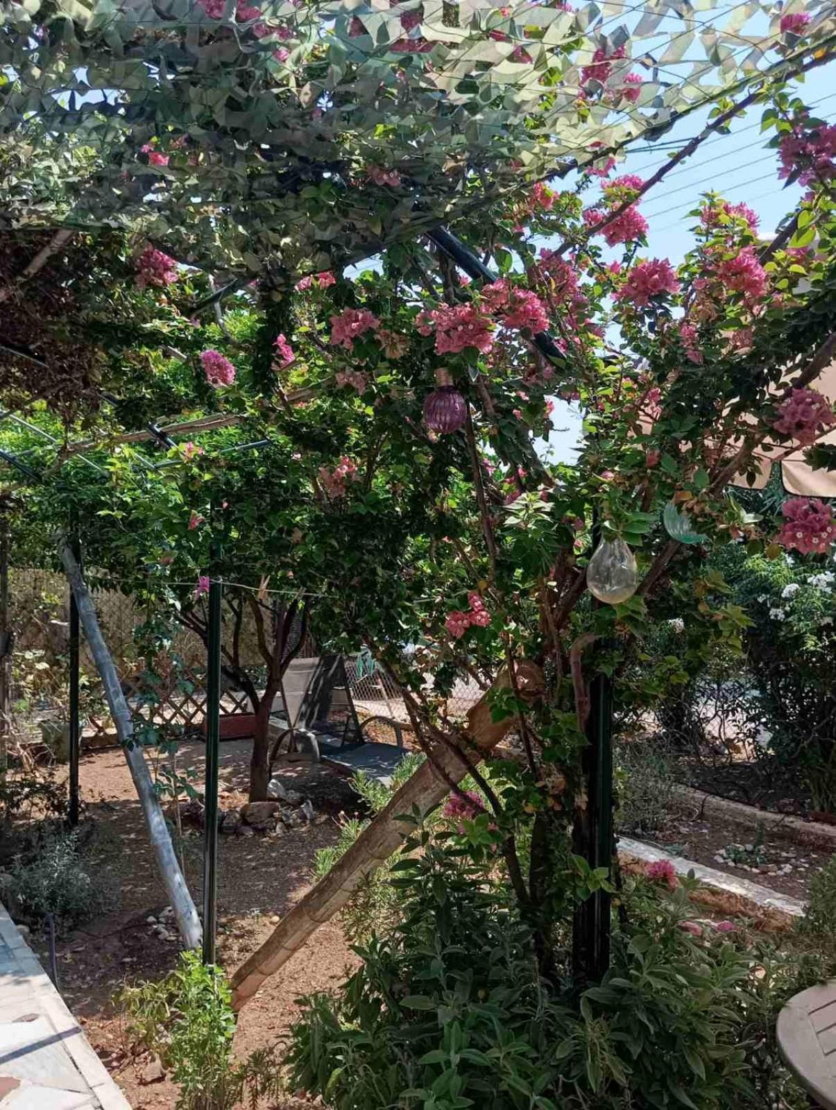 Ambelakia Εξοχικό Roxaniヴィラ エクステリア 写真