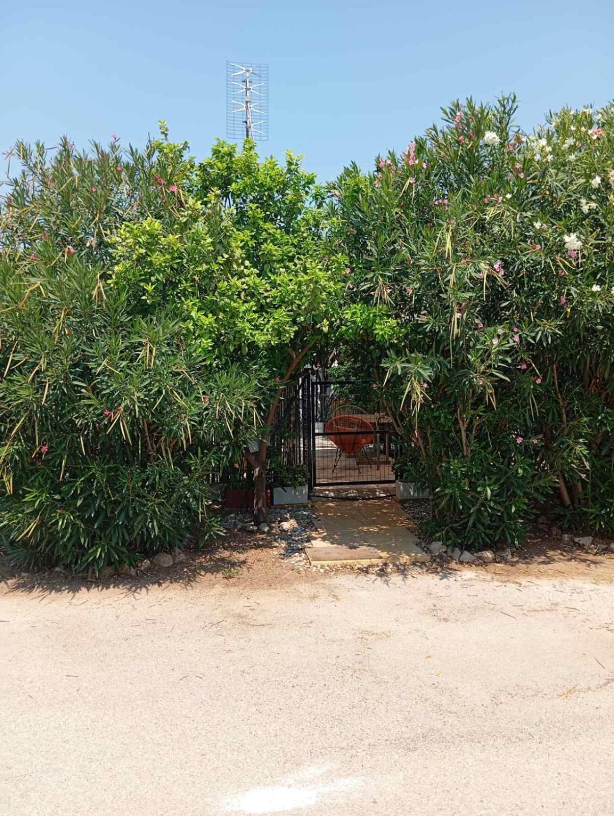 Ambelakia Εξοχικό Roxaniヴィラ エクステリア 写真